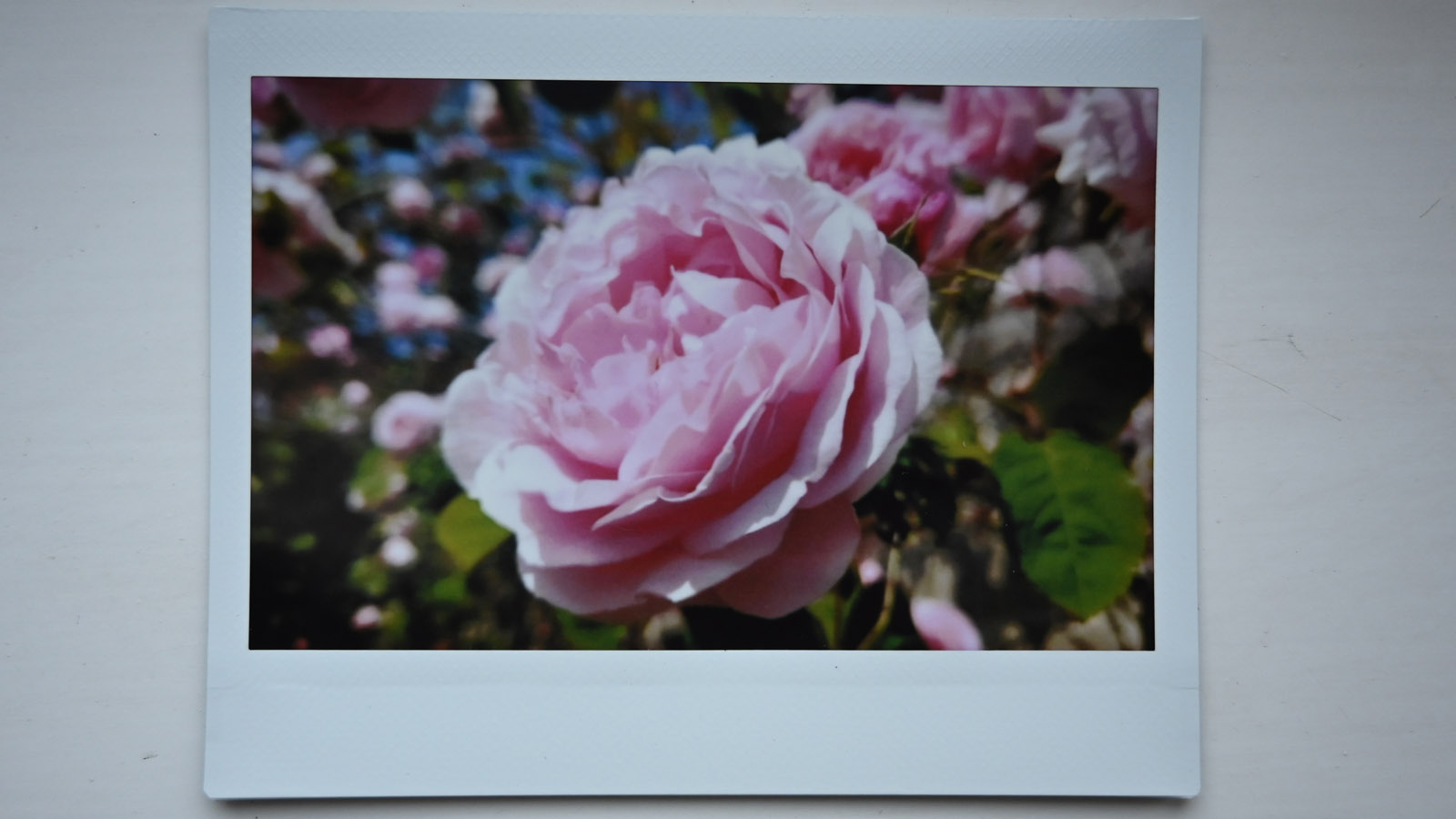 Fujifilm Instax Wide Sample Scan