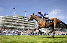 Taghrooda-Oaks1.jpg