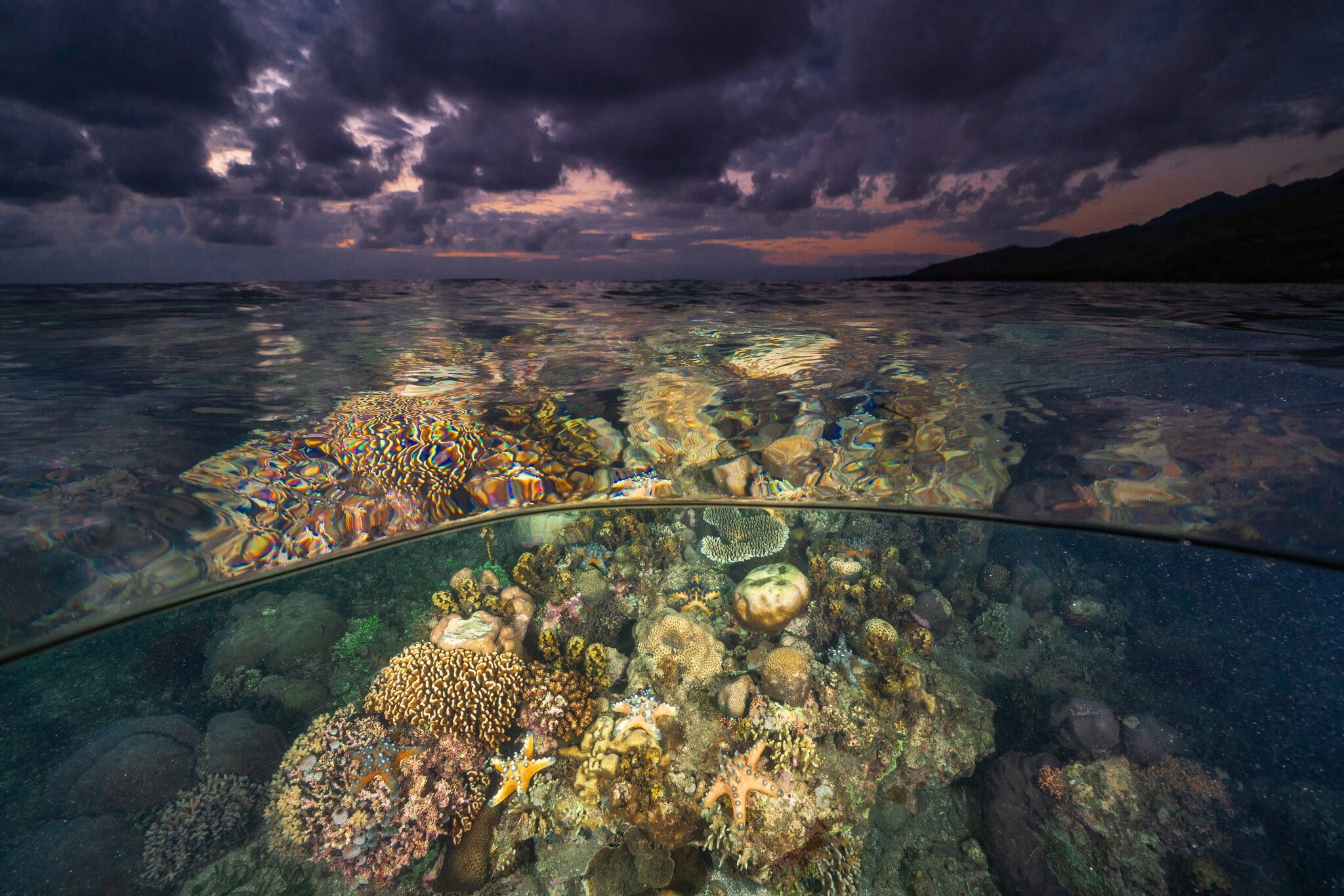coral reef and moody sky