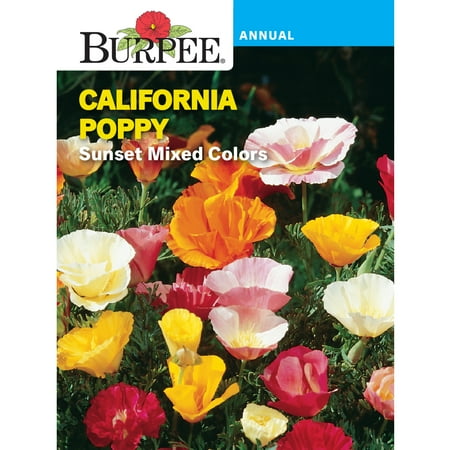 Burpee Sunset Mixed California Poppy Flower Seed