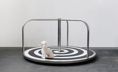 installation of dog on roundabout, from Frieze New York 2024