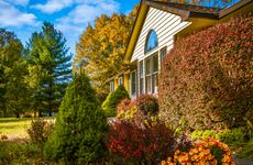 a house surround by plants in fall colors