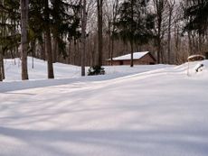 Reigo & Bauer Moves to the Country: cabin-style office in the woods in snow