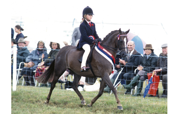 CHARLOTTE DUJARDIN BIRTHDAY GALLERY