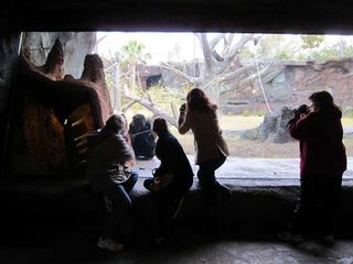 The viewing area in the chimpanzee exhibit allows humans to get close to their primate cousins -- and lets the chimps look back.