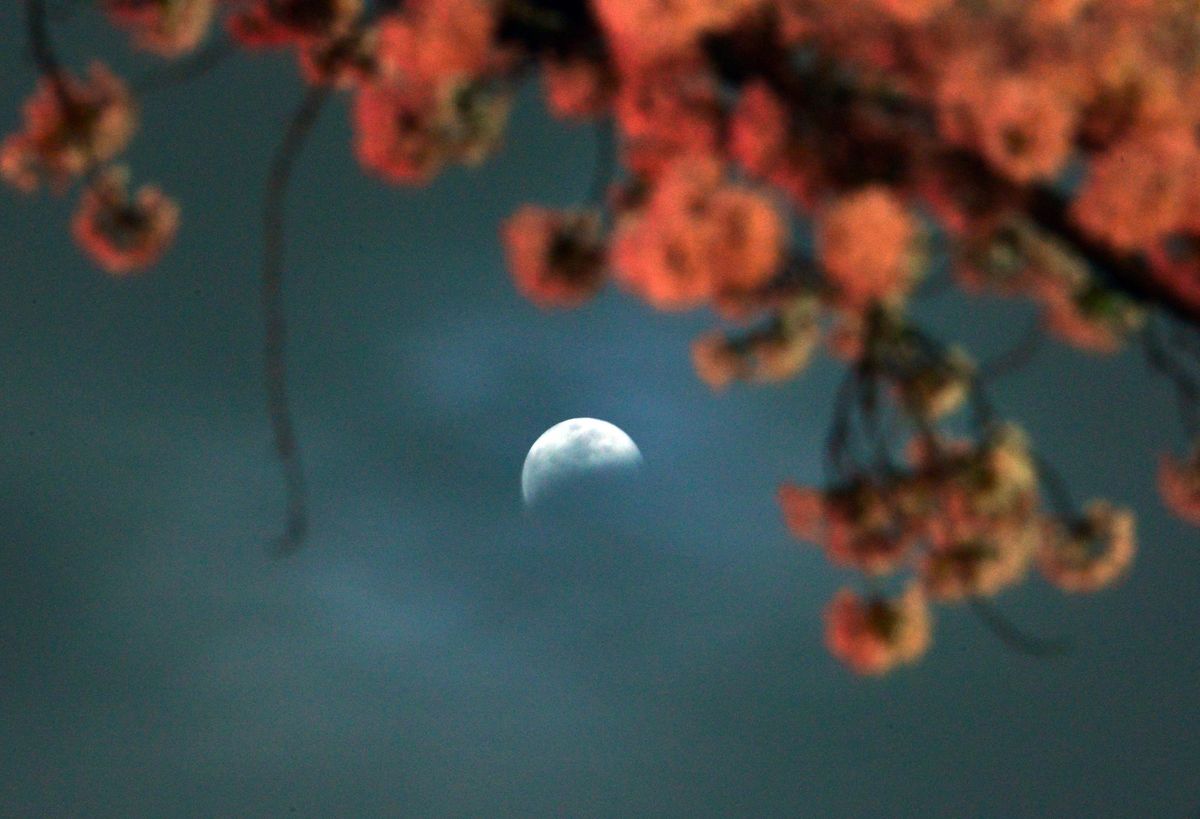 May full moon 2021: How to see the 'Super Flower Blood ...