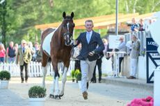 Luhm&uuml;hlen Horse Trials trot-up