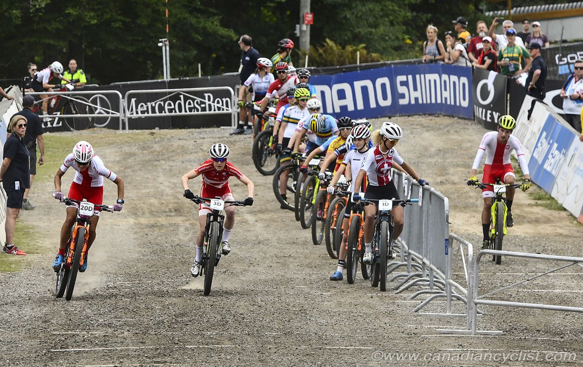 Poland and Denmark head out before Switzerland