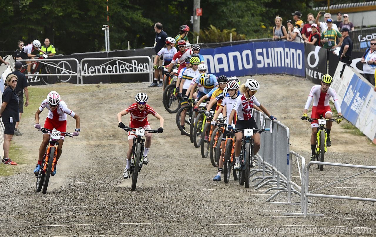 Poland and Denmark head out before Switzerland