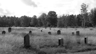 Grave stones in a field