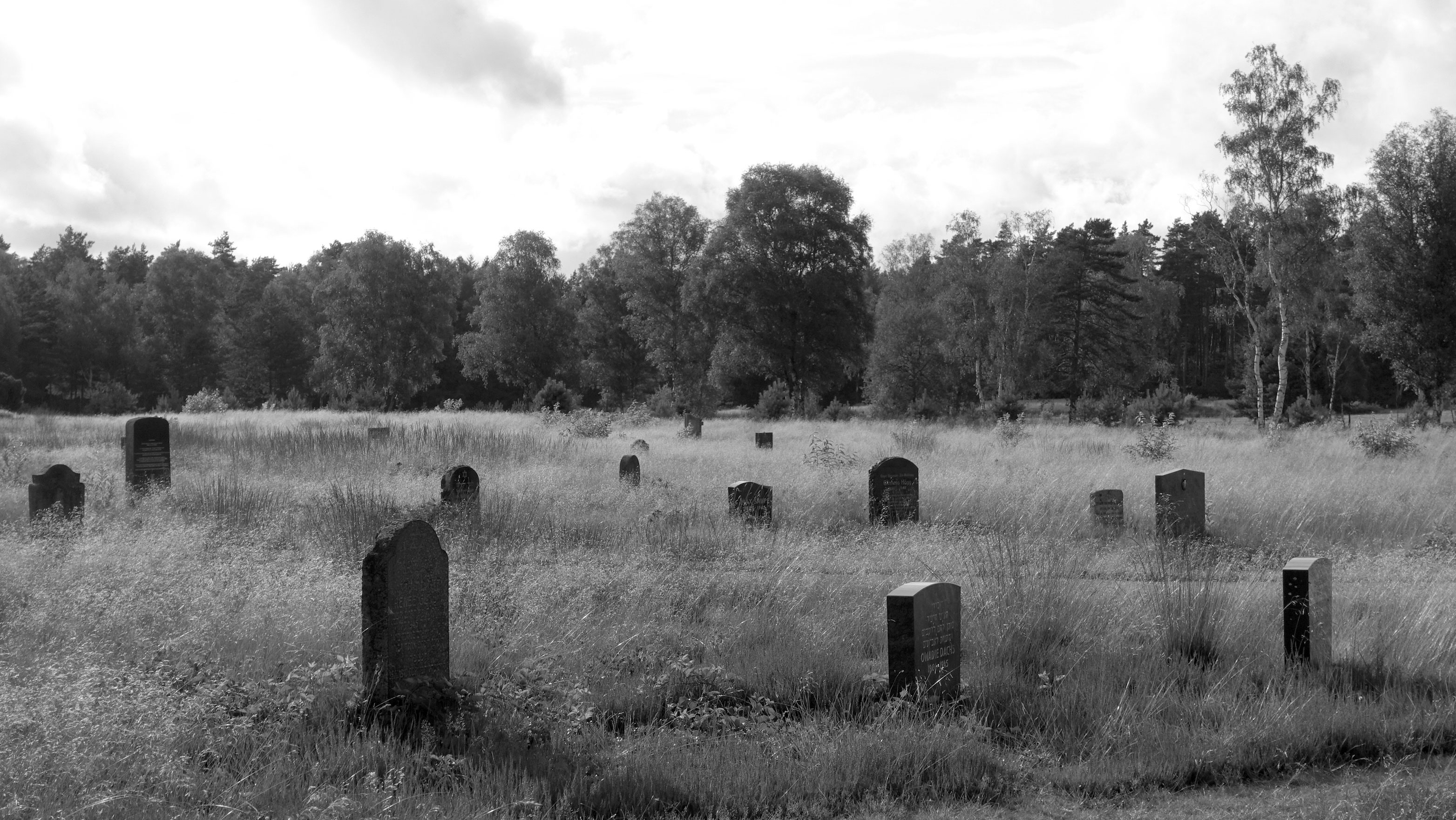 Grave stones in a field