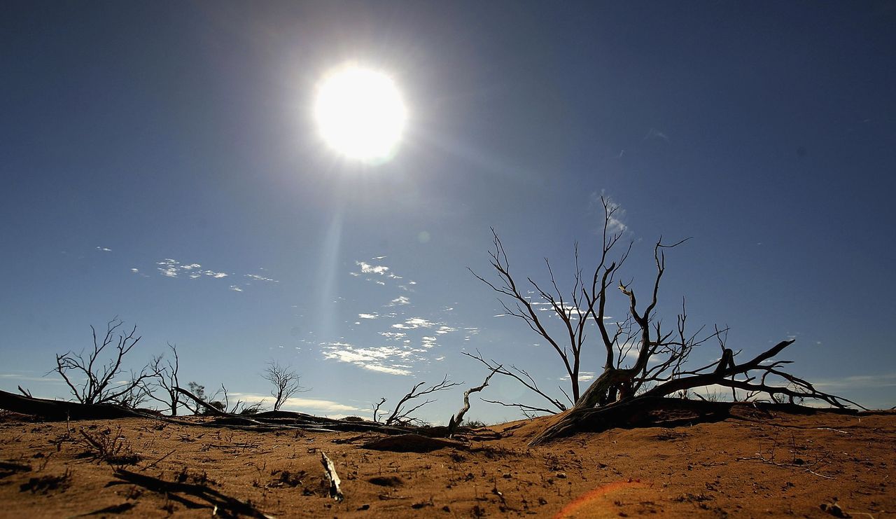 Landscape affected by drought.