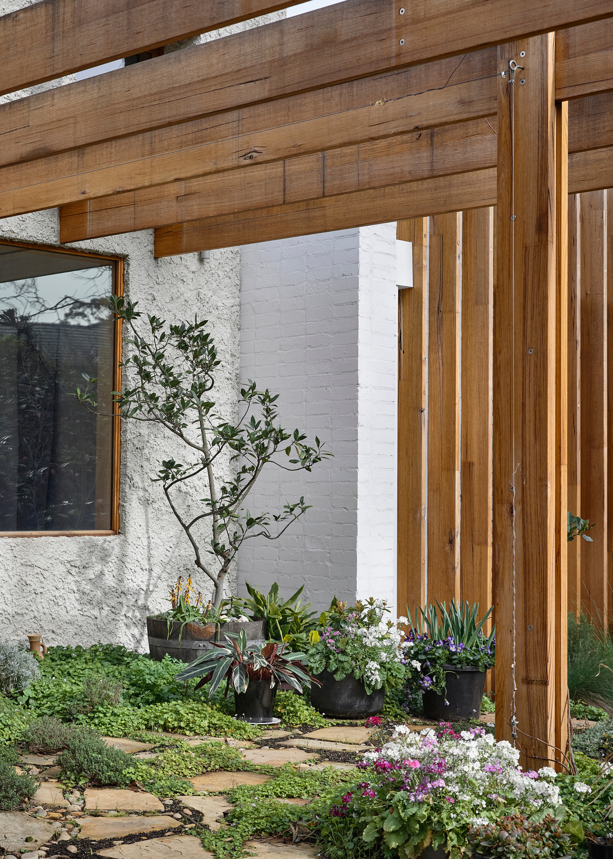 A backyard with a herd of potted plants
