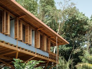 casa quinta by arquipelago, a wooden house on stilts above the rainforest canopy engulfed in greenery and open to nature