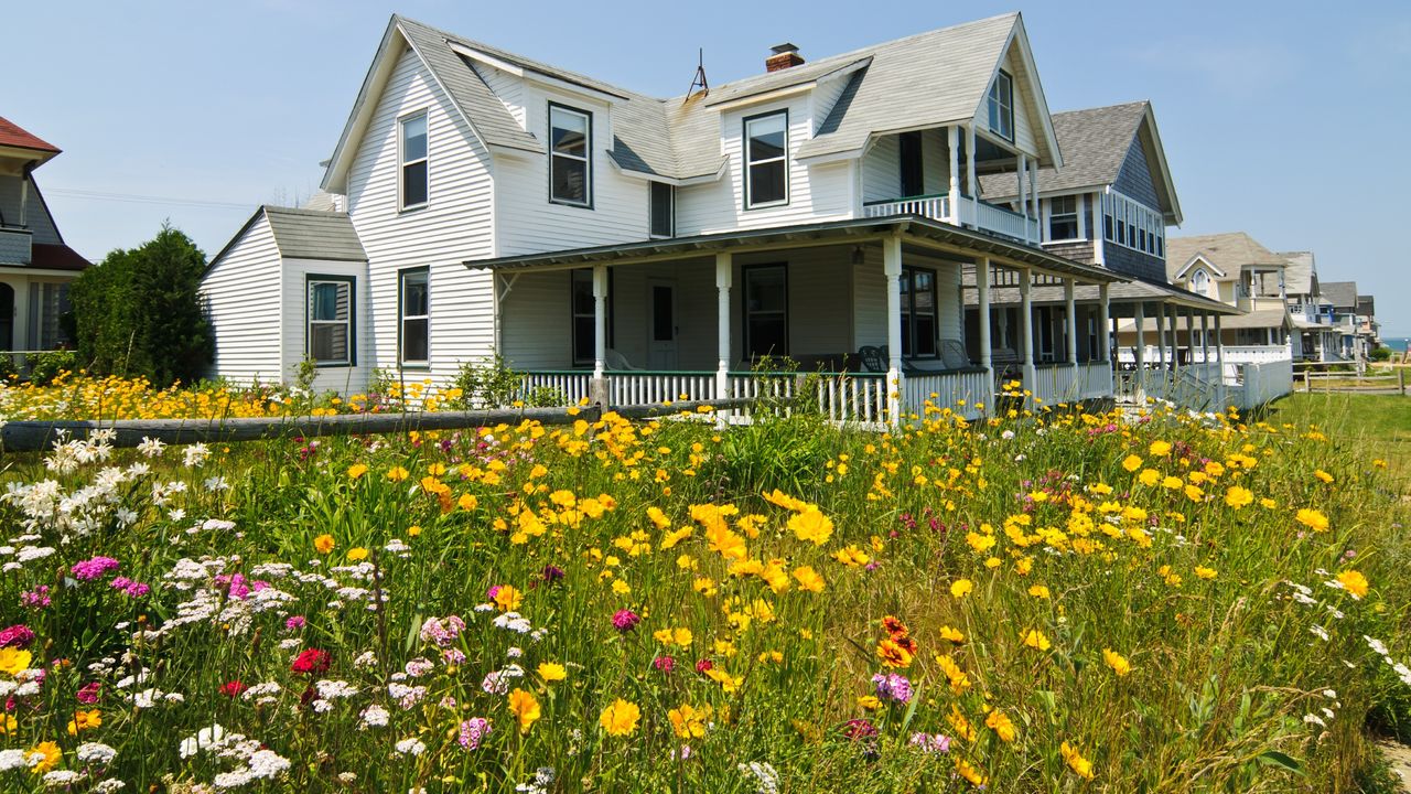 Wildflowers