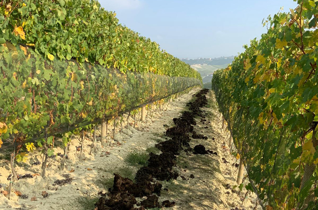 Roberto Voerzio vineyards