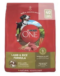 Purina ONE Natural SmartBlend Lamb &amp; Rice Formula Dry Dog Food
$59.99 from Chewy