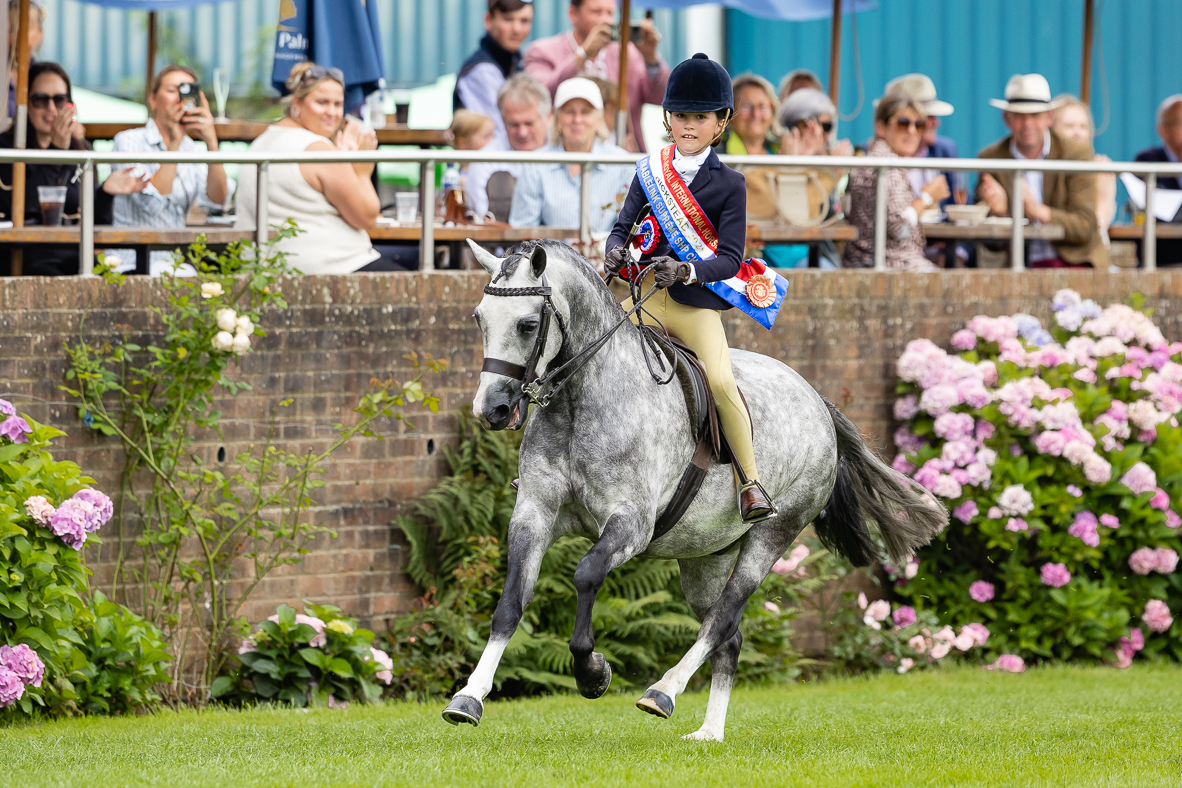 Darcie Fielding and Rowfantina My Buddy celebrate standing show hunter pony supreme with a cracking gallop at the 2025 Royal International