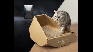 Cybertruck cat box