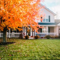 Exterior of an american house surrounded y fall foliage ahead of the first frost