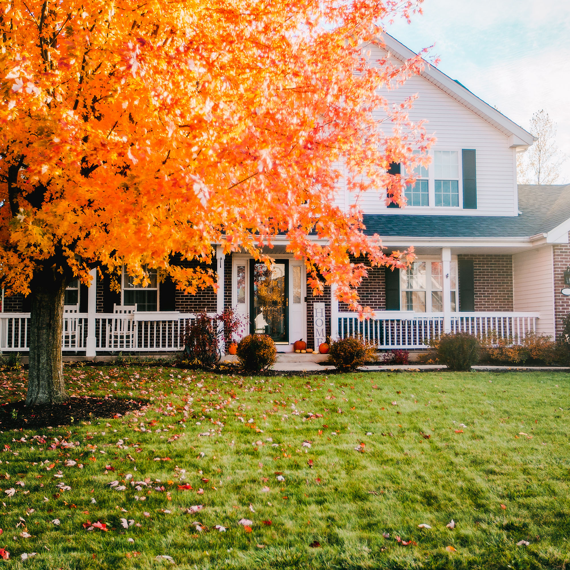 Exterior of an american house surrounded y fall foliage ahead of the first frost