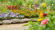 A colorful summer border and garden path