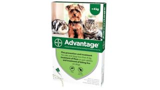 Advantage Spot On flea treatment for cats
