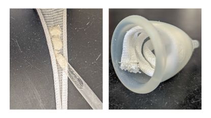 On the left, a photo of a powdered product in a gauze material. On the right, the gauze has been wrapped up to line a menstrual cup.