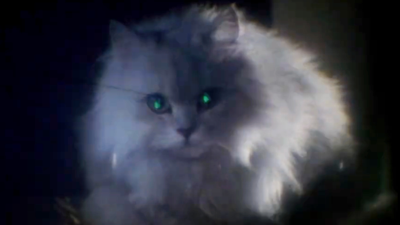 Blanche with green laser eyes in Hausu