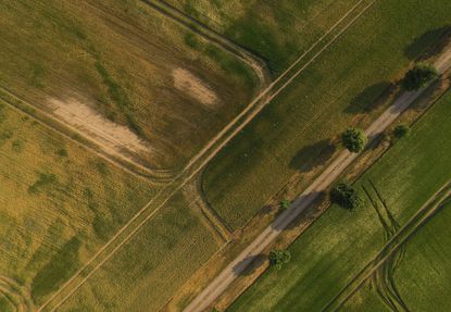 A dry field. 