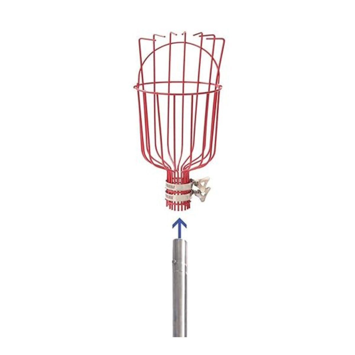 Fruit picking tool