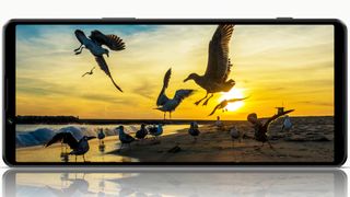 En Sony Xperia 1 IV fra forsiden, med skærmen tændt med et billede af måger i solopgangen på en strand