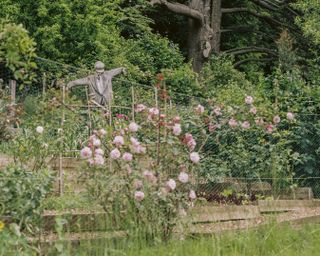 Sandra Choi's kitchen garden