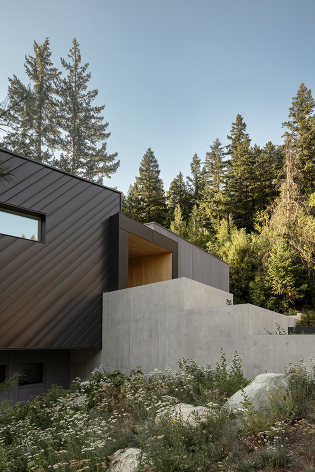 view of Passive House Forest Retreat, a timber structure engulfed in the tree canopy