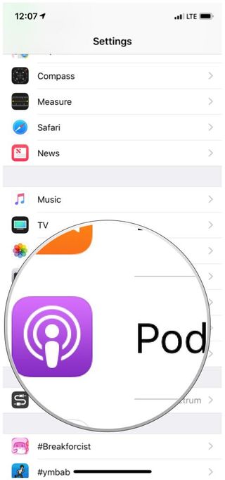 Apple iOS Settings Podcast option