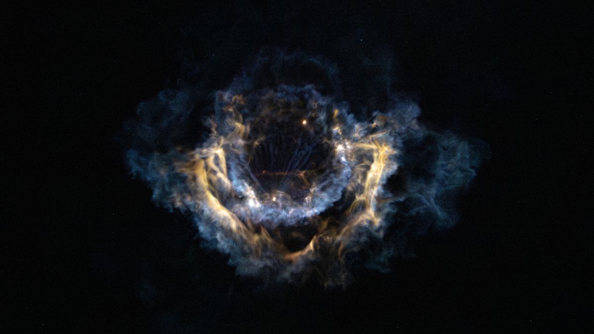 Image for SpaceX Falcon 9 rocket plume blossoms over Florida | Space photo of the day for Feb. 18, 2026