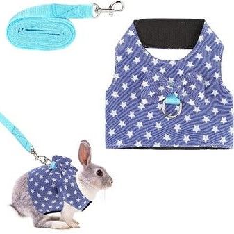 Best rabbit harness 2026: Let them explore in safety | PetsRadar
