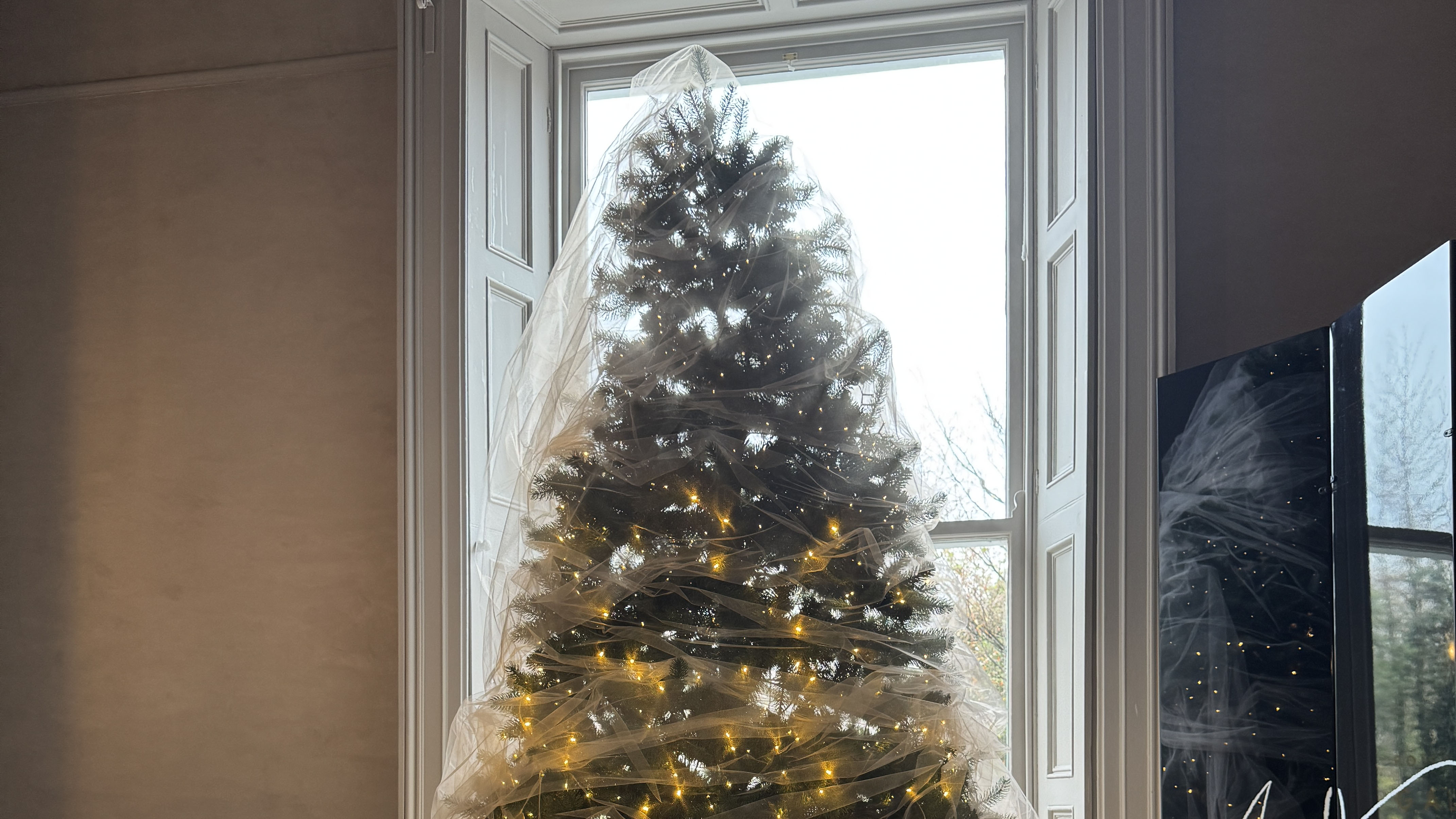 veiled christmas tree lit up in front of a window