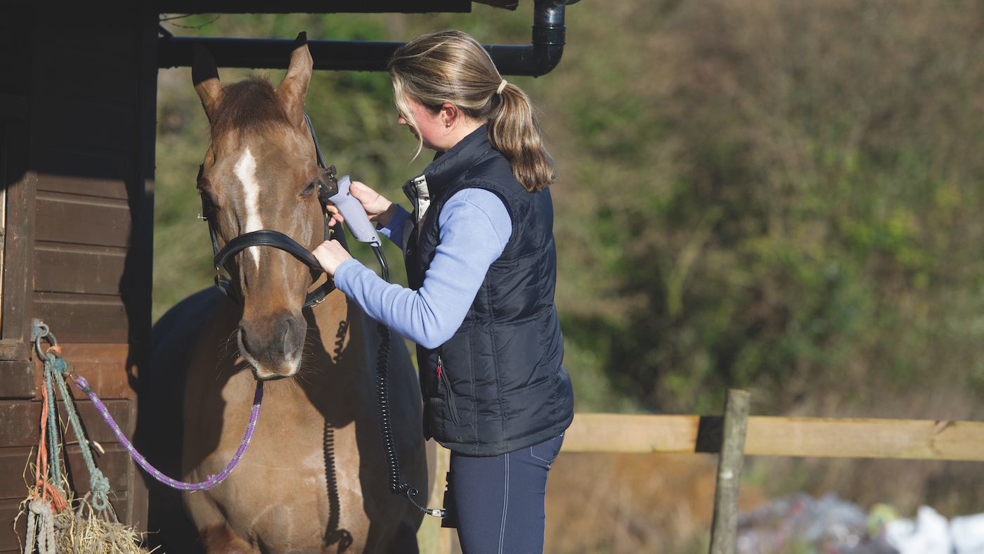 Clipping your horse is part of preparing them for the show ring