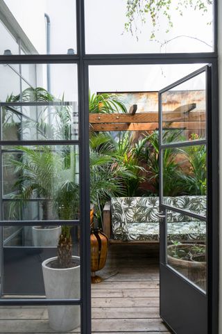 Small decked courtyard garden with large palms