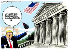 Political Cartoon