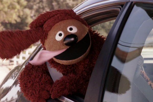 The Top 25 Muppet Characters, Ranked | Cinemablend