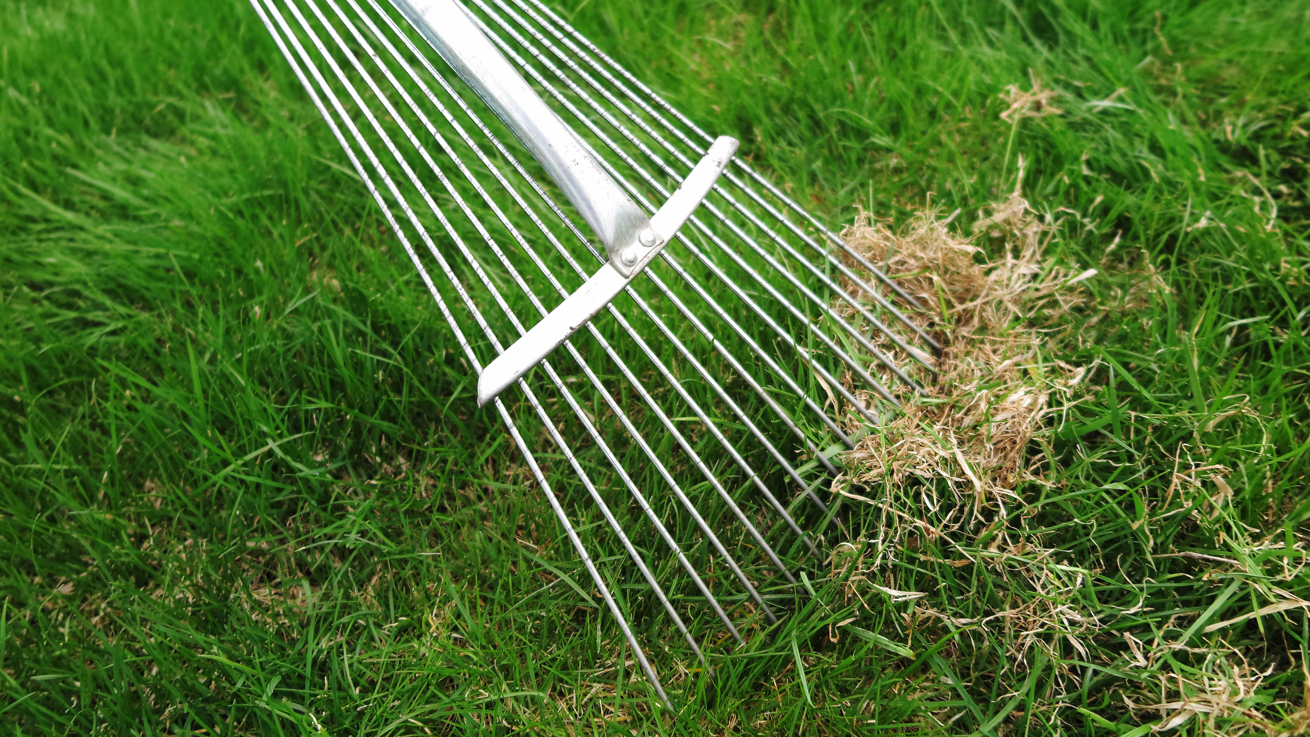 7 signs your lawn needs aerating | Tom's Guide