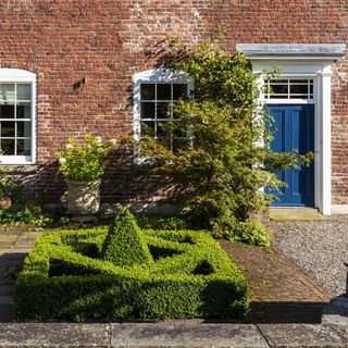 front garden with topiary