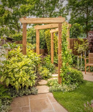 shrubs around wooden arch over a pathway in a backyard