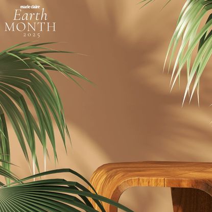 A palm tree on a brown background