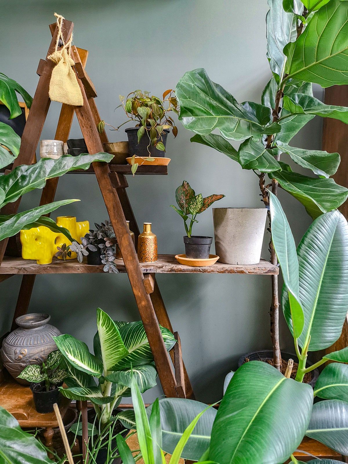 Indoor DIY Ladder Planter Holding Potted Plants