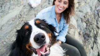 Happy dog sitting next to owner