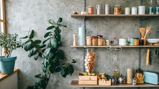 Kitchen wall shelves used as Pantry-style storage