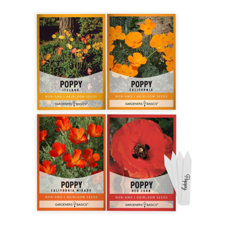 A set of 4 sachets of assorted poppy seeds